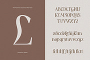 Aesthetic Essential | Modern Serif, a Serif Font by Megi Satyo Widodo (Thumbnail 18 of 22)