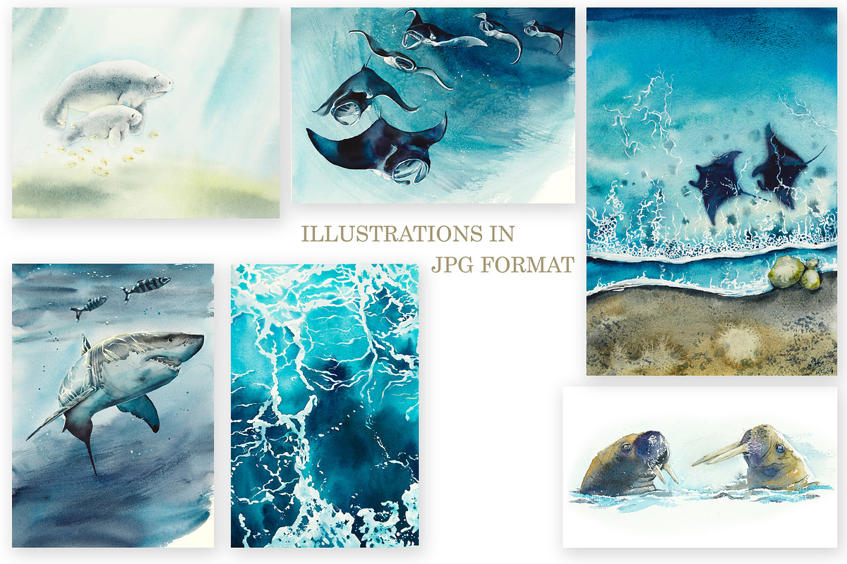 Watercolor Oceans, an Animal Illustration by Budogoshch (Photo 3 of 11)