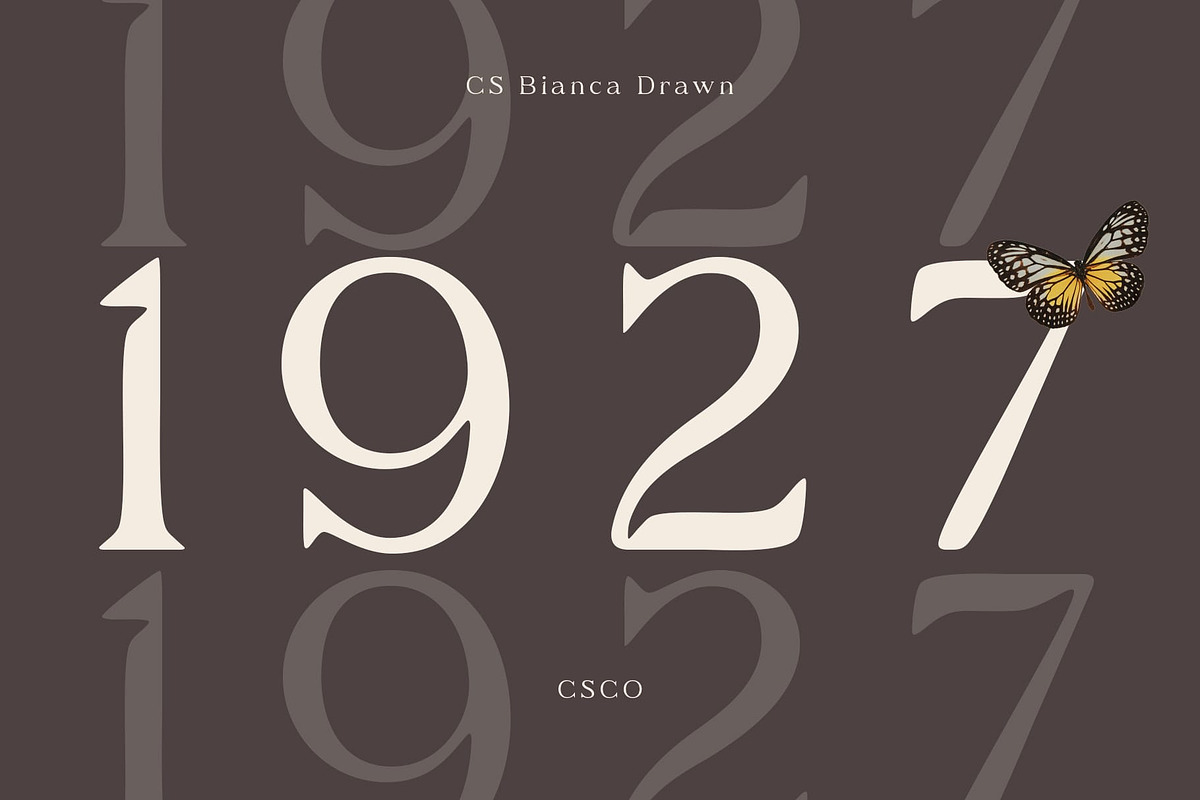 CS Bianca Drawn, a Serif Font by Craft Supply Co. (Photo 3 of 8)