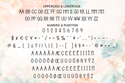 Meet And Greet | Script Font, a Script Font by Scratchones (Thumbnail 7 of 8)