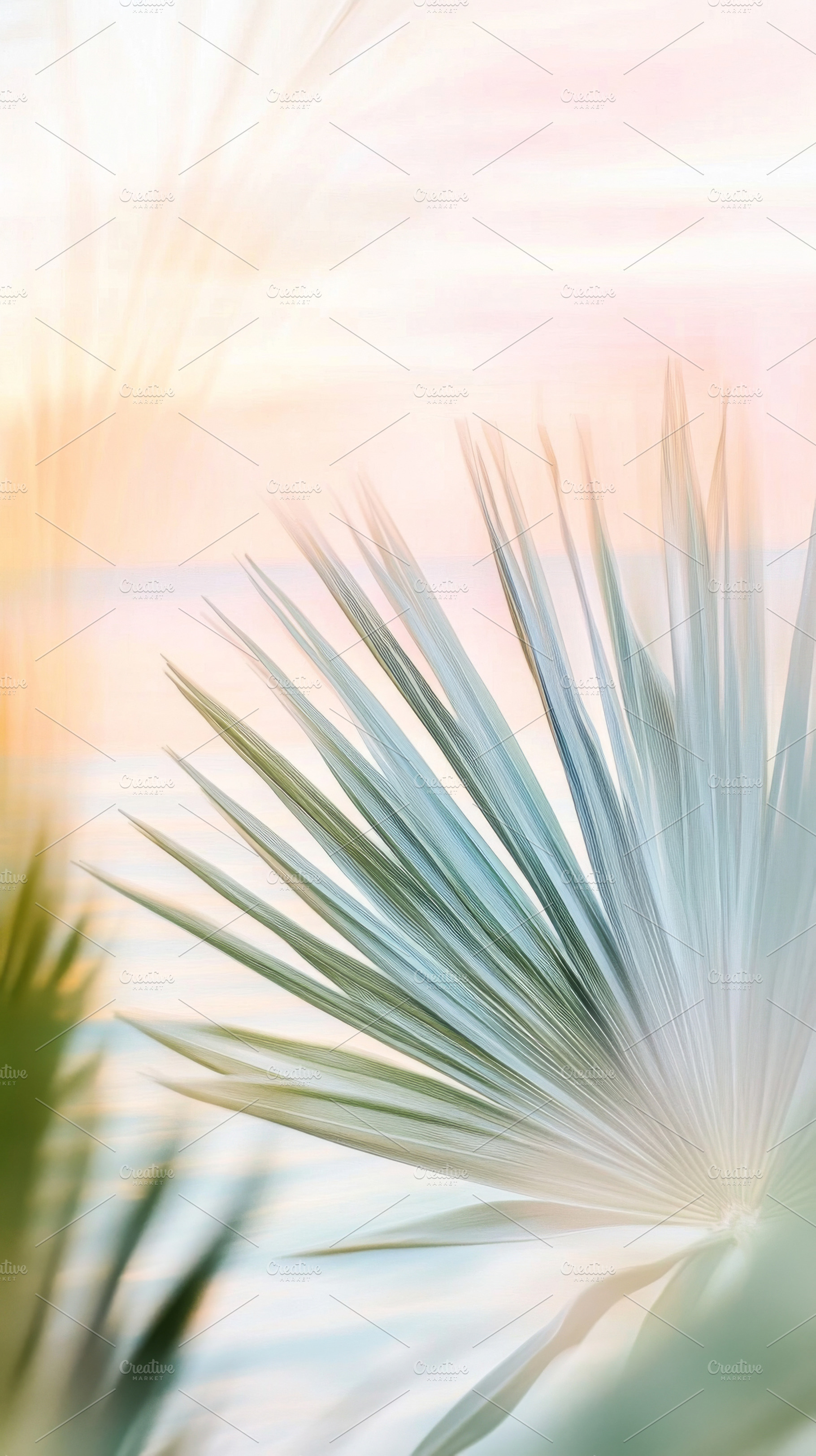 Blurry out-of-focus palm trees with, a Photo by Dvoevnore photos