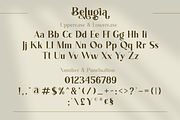 Belugia | Elegant Display Serif, a Serif Font by Rissyletter Studio (Thumbnail 8 of 10)