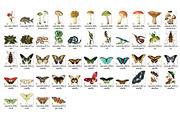 Vintage Naturalist Clipart, an Animal Illustration by Digital Curio (Thumbnail 4 of 4)