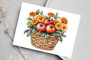 Watercolor Autumn Apple Basket PNG, a Seasonal Illustration by Canvas Craft (Thumbnail 4 of 6)