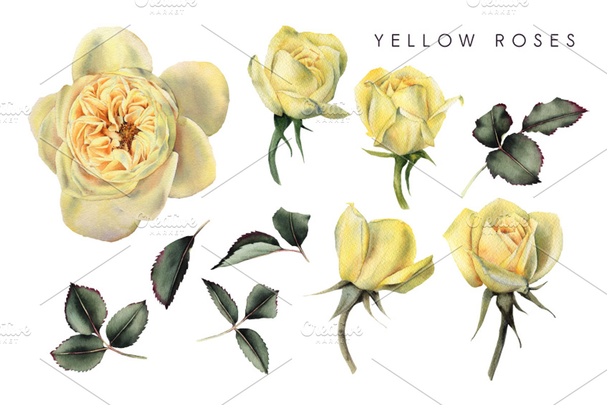 Summer Flowers, a Decorative Illustration by ollalya (Photo 2 of 4)