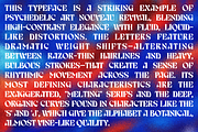 Birvase Display Font, a Serif Font by Bagerich Type Foundry (Thumbnail 11 of 12)