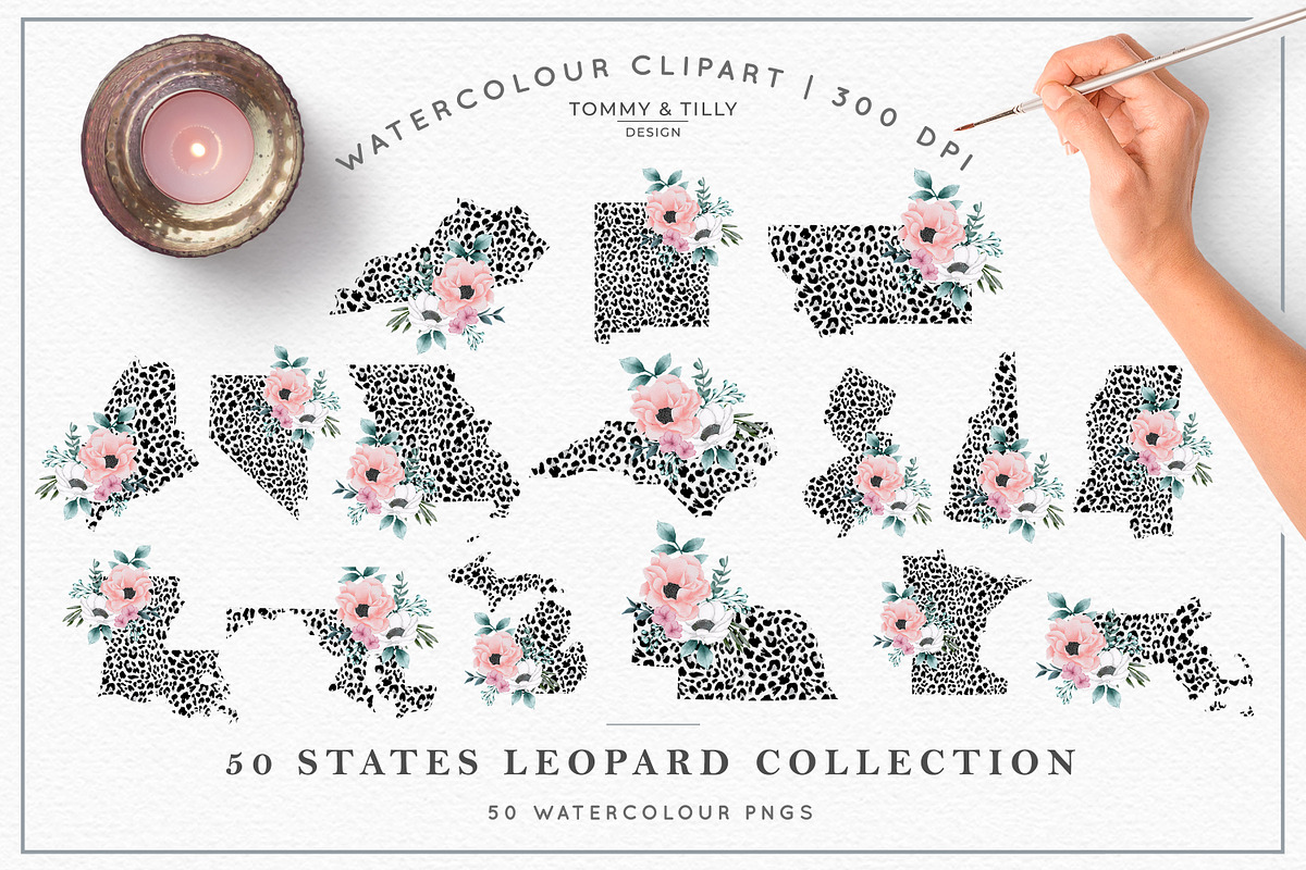 Bestsellers Graphics Bundle, an Animal Illustration by Tommy & Tilly Design (Photo 10 of 21)