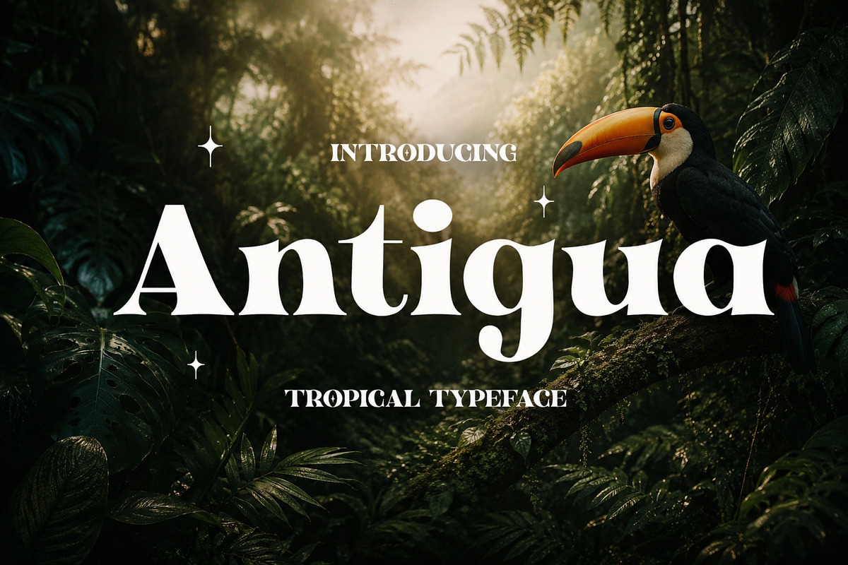 Antigua - Tropical Display, a Serif Font by HipFonts (Photo 1 of 11)