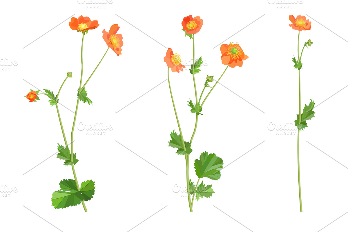 Vector object brushes. Geum. preview 7