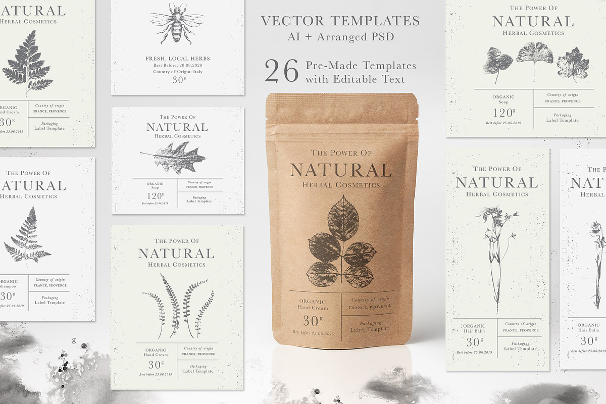 Herbarium: Design Set, a Graphic by Lumitar (Photo 6 of 14)
