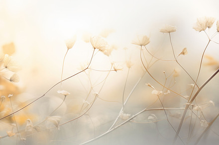 Autumn Meadows Soft Earthy Backdrop Capturing Tranquility, a Nature Photo by Iconogenic