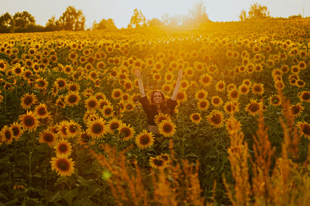 woman in a field of sunflowers