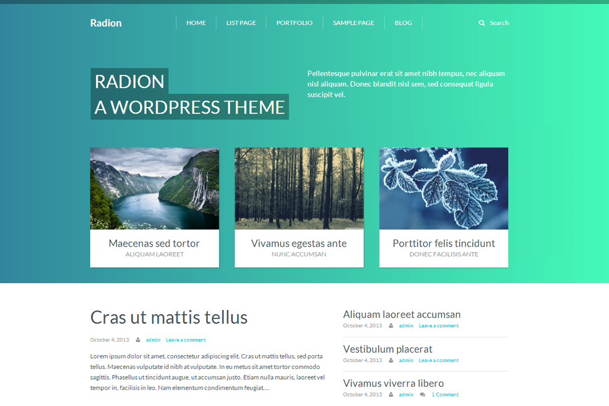 Radion Wordpress theme, a WordPress Template by FineHive