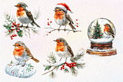 Christmas Robin Bird Clipart, an Illustration by Dream Creation (Thumbnail 6 of 6)
