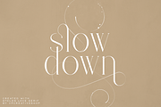 Stolen Love - Elegant serif typeface, a Serif Font by VP Fonts (Thumbnail 5 of 34)