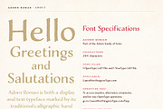 Adorn Collection, a Sans Serif Font by Laura Worthington (Thumbnail 40 of 62)