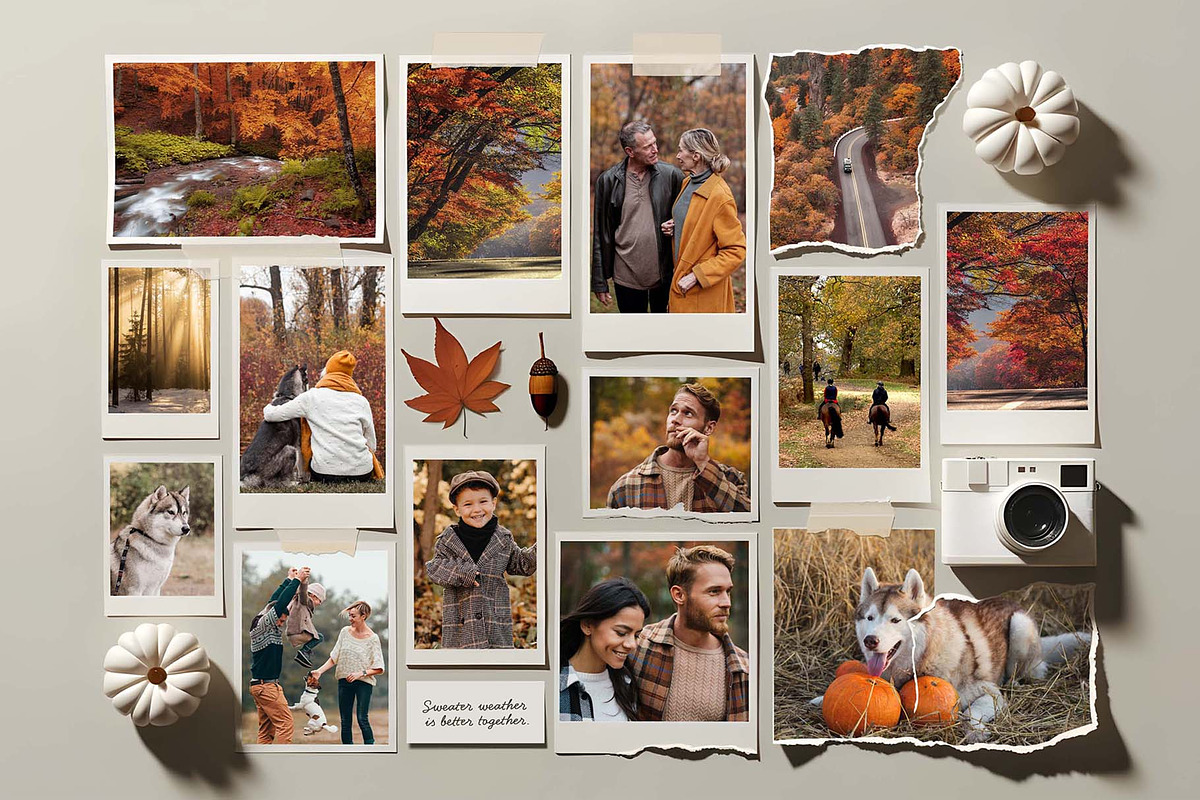 Autumn Fall Photo Collage Template, a Card Template by BrandPacks (Photo 1 of 3)