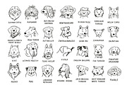 Dogs with Glasses, an Animal Illustration by GooseFrol (Thumbnail 11 of 17)