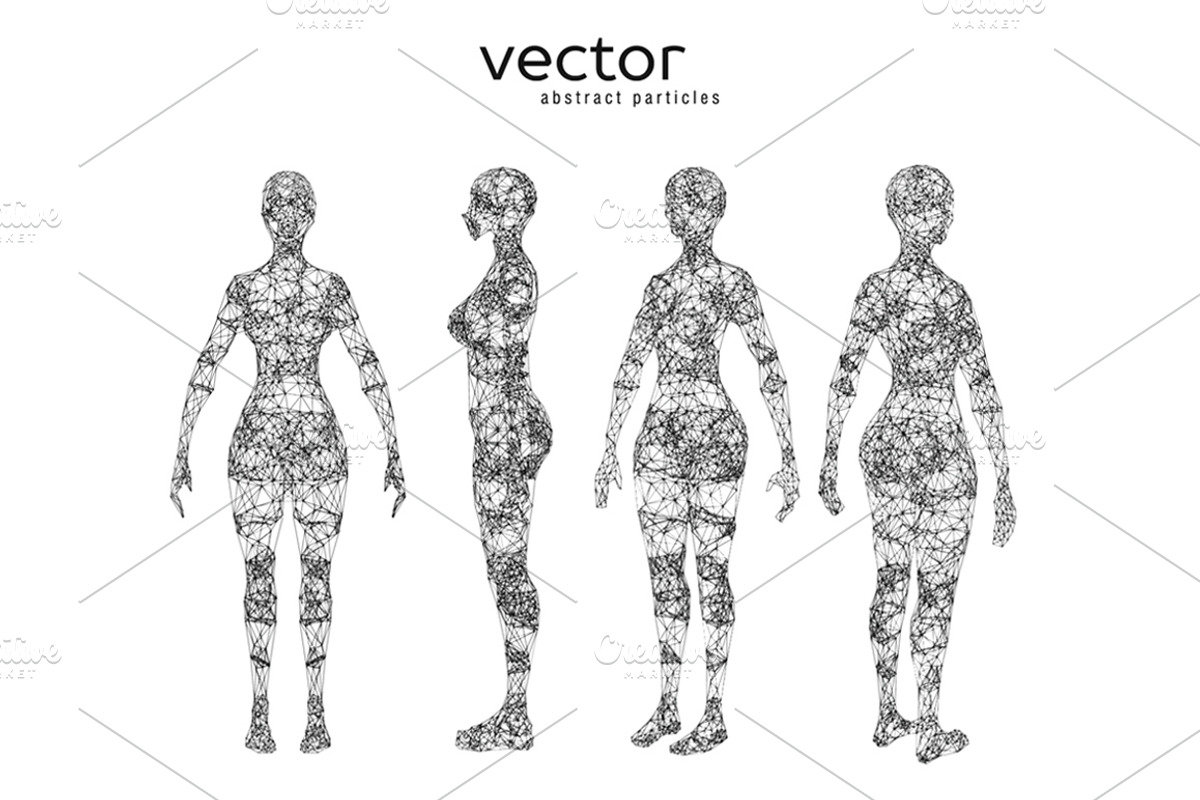 Vector illustration of female body, a Technology Illustration by Julvil