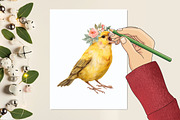 Cute Birds Clipart, a Graphic by designcity5 (Thumbnail 5 of 5)