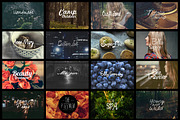 100 Logotype Bundle, a Branding & Logo Template by TSV Creative (Thumbnail 4 of 4)