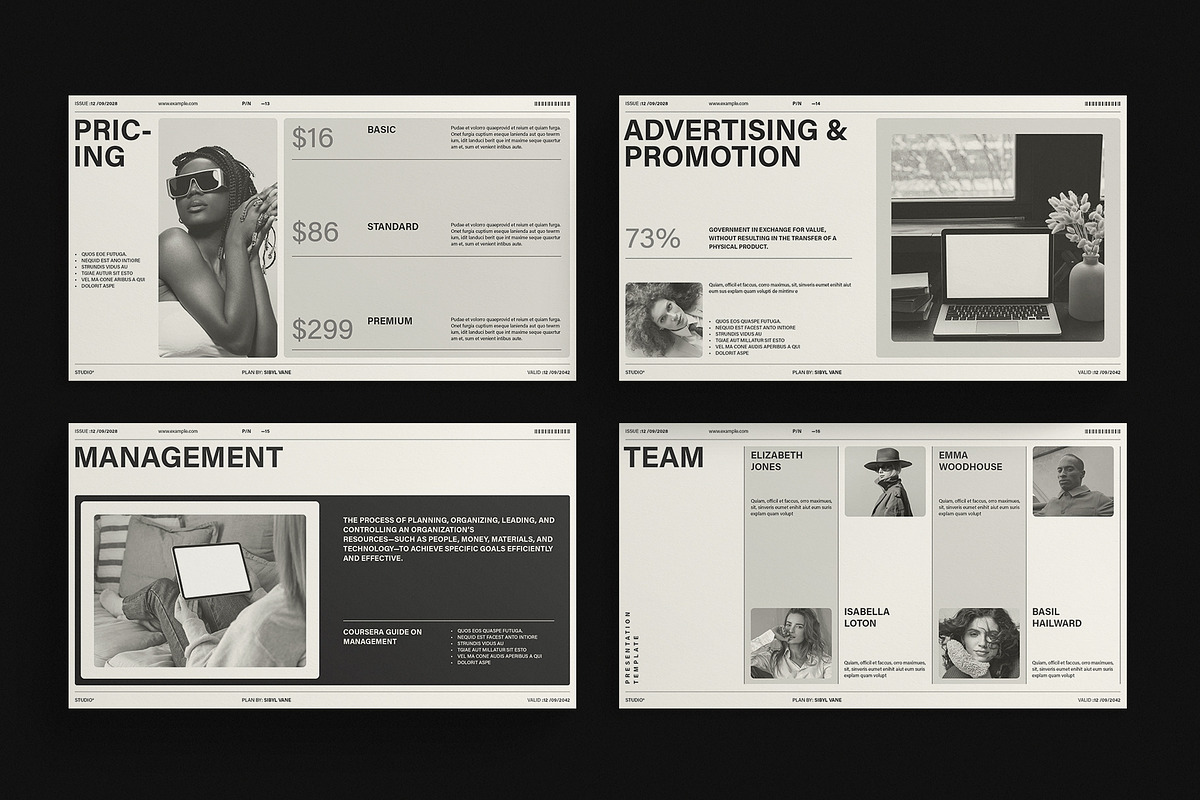 Business Plan Presentation Template, a Presentation Template by RedGiant (Photo 5 of 6)