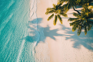 Relaxing day at the beach with palm shadows casting over golden sand and turquo, a Nature Photo by AlyaAnd