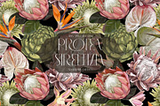 Protea & Strelitzia seamless pattern, a Pattern Graphic by NNclipart (Thumbnail 1 of 6)