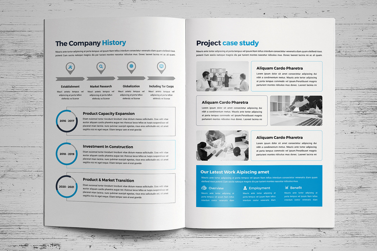 Company Profile Template V8, a Brochure Template by JanySultana (Photo 7 of 14)
