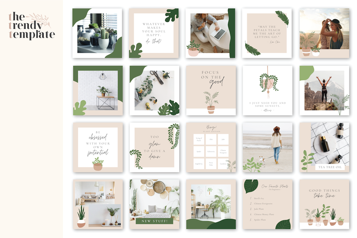 Crazy Plant Lady Instagram Template, a Social Media Template by thetrendytemplate (Photo 4 of 5)