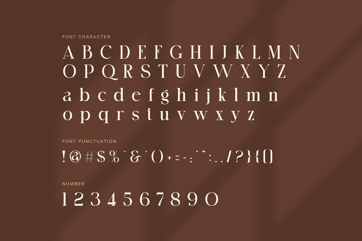 Creatoon Modern Serif Font, a Serif Font by Perfectype (Photo 7 of 8)