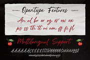 Analog Flow - Casual Brush Script, a Script Font by Inviline.co (Thumbnail 9 of 10)