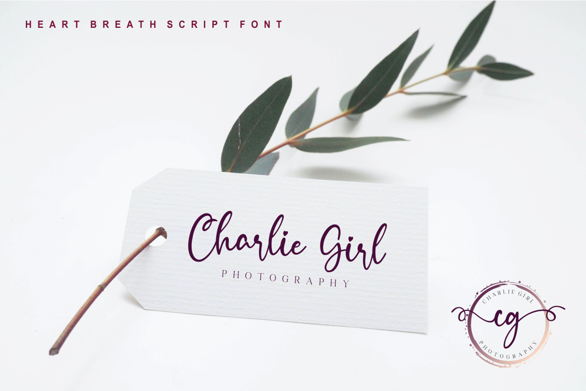 Heart Breath a Beautiful Script Font, a Script Font by Vilogsign (Photo 2 of 9)