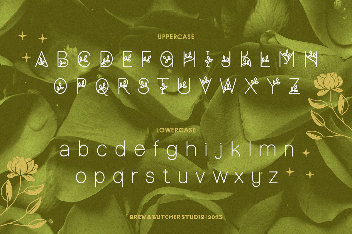 Loryme | Decorative | Illustration, a Symbol Font by Brew & Butcher Studio (Photo 2 of 9)