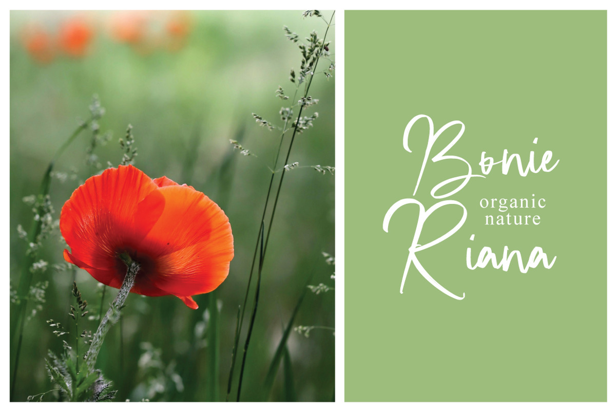 Kahire Brush, a Handwritten Font by Eltypesstudio (Photo 9 of 11)