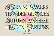 TAN - FIFTH AVENUE, a Serif Font by TanType (Thumbnail 8 of 11)