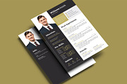 Resume/CV Template, a Resume Template by TheStyle-2 (Thumbnail 3 of 4)