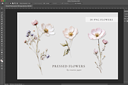 Pretty Wildflowers (Png) Elements, a Background Graphic by by creative paper (Thumbnail 4 of 7)