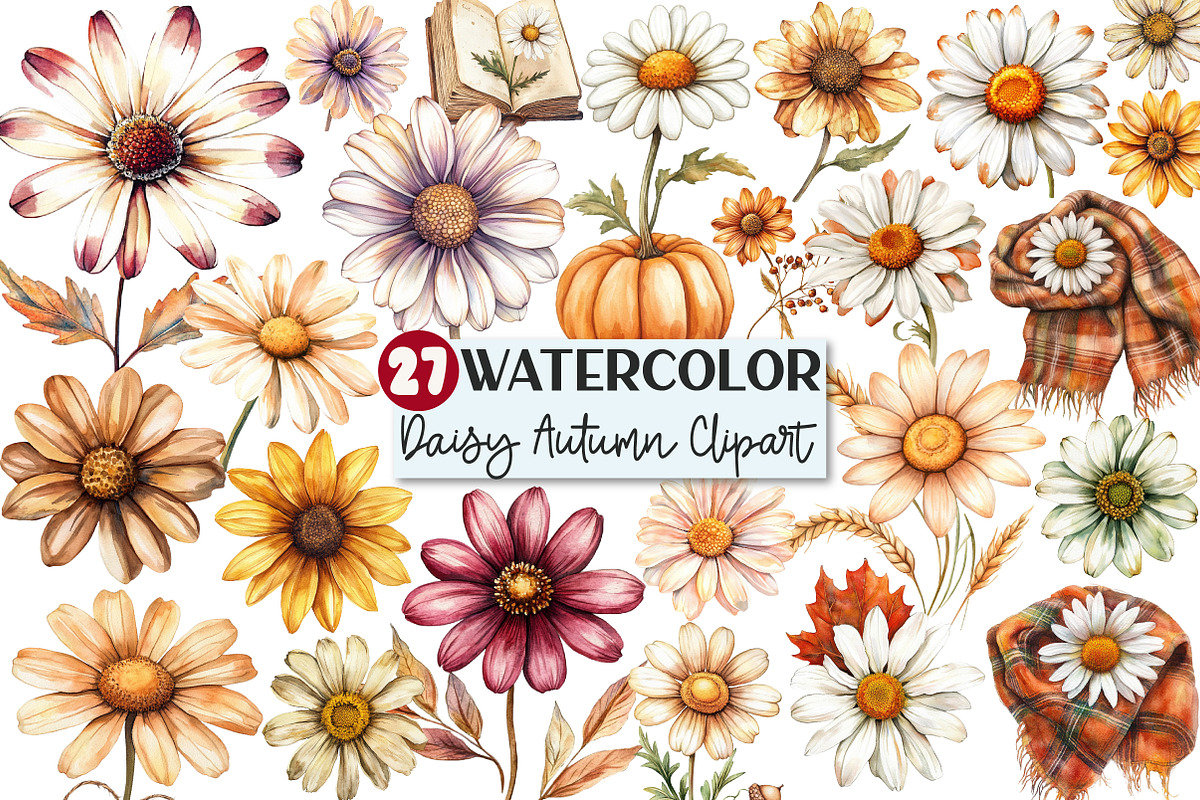 Watercolor Daisy Autumn Clipart, an Illustration by Rose Art (Photo 1 of 7)