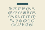 Costare Slorun Display Sans Serif, a Sans Serif Font by timelesstype.co (Thumbnail 18 of 20)