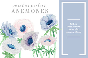 Watercolor Anemones