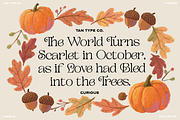 TAN - CURIOUS, a Serif Font by TanType (Thumbnail 5 of 11)