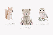 woodland animal clipart set, a Decorative Illustration by Patishop Art (Thumbnail 5 of 7)