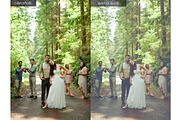 Vintage Wedding Photoshop Actions preview 2
