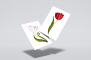 Big set Multicolored Tulips, a Graphic by MarynaPetrovska (Thumbnail 12 of 13)