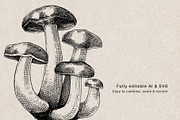 Mushrooms Vector Illustration Bundle, a Food Illustration by Yevheniia (Thumbnail 8 of 8)