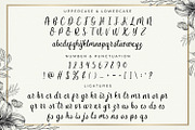 Butterfly Winter - Handwritten Font, a Script Font by StringLabs (Thumbnail 8 of 10)
