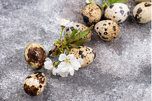 Easter concept. Quail eggs and, a Holiday Photo by Yulia Furman