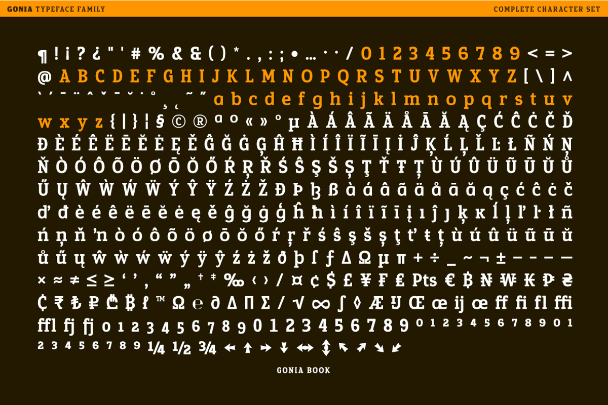 Gonia, a Slab Serif Font by Typogama (Photo 15 of 15)