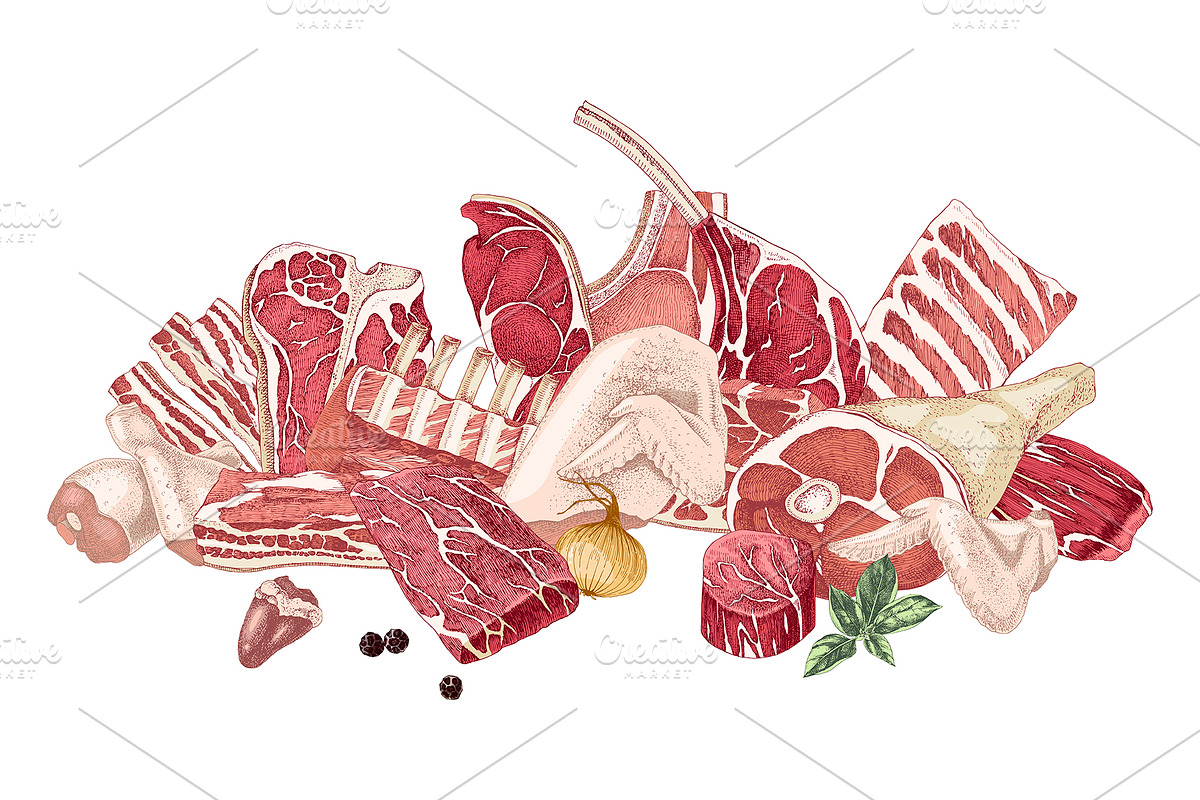 Ultimate meat set. Meat market, a Food Illustration by handsketched (Photo 17 of 17)